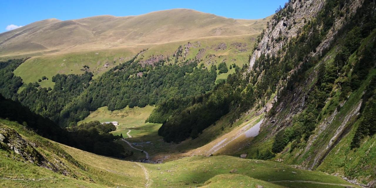 Hotel Le 41 Avenue Foch Bagnères-de-Luchon Esterno foto